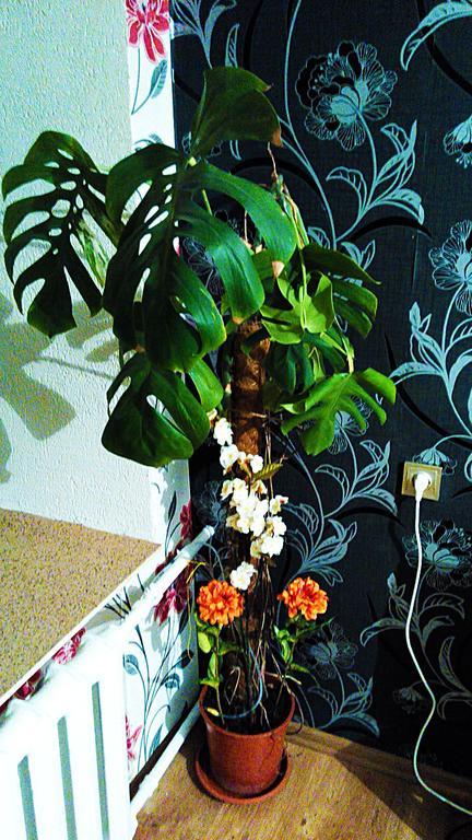 Picturesque Apartment Into Antique Fortress Daugavpils Oda fotoğraf